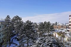 12-02-21 - Muttenz 13 Uhr